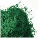 Barco Red Label Food Dust/Paint - Christmas Green 10ml