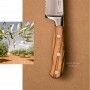 Giesser BestCut Vegetable Knife 10cm Olive