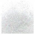 Barco Flitter Glitter - White Hologram - 10ml