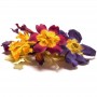 Petite Ingred Edible Primrose Jar