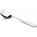 Albany Soup Spoon