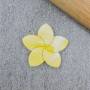 CCC Frangipani Embosser & Cutter Set Custom Cookie