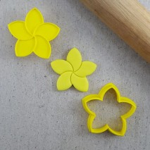 CCC Frangipani Mini Embosser & Cutter Set Custom Cookie