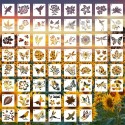 Nature Bird/Flowers/Insects Stencil 60pc