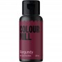 Colour Mill Aqua 20ml Burgundy Colour Mill,Cooks Plus