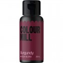 Colour Mill Aqua 20ml Burgundy