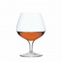 Michaelangelo Masterpiece Cognac Glasses - set of 4