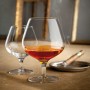 Michaelangelo Masterpiece Cognac Glasses - set of 4