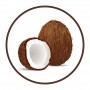 Roberts Coconut Flavoured Oil - 30ml