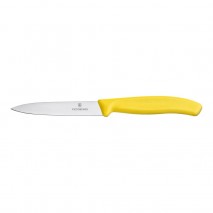 Swiss Classic Paring Knife Straight Edge - 10cm 6.7706.L118