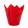 Tulip Muffin Cup Paper 50pcs Red