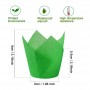 Tulip Muffin Cup Paper 50pcs Green