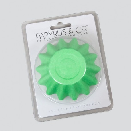 Papyrus Bloom Baking Cups - 24 Pack - Pastel Green