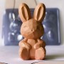 BWB Sitting Geode Bunny Rabbit Mould - 3 piece set BWB,Cooks