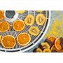 EziDri Ultra Digital FD 1000 Dehydrator Ezi concepts,Cooks Plus