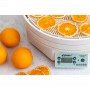 EziDri Ultra Digital FD 1000 Dehydrator Ezi concepts,Cooks Plus