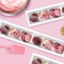 Cake Craft Window Cupcake Box - 6 Hole