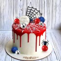 Cake Topper Spider & Star 49pc Set