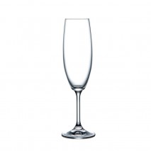 Sienna 220ml Champagne Flute set 6