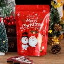 Christmas Pearl Foil Treat Bag 23.5x16cm