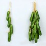 Artificial Cucumber Strand 1pc