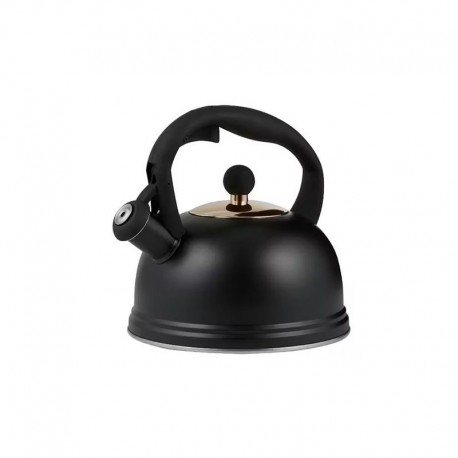 Typhoon Living Stovetop Kettle 1.8L Black