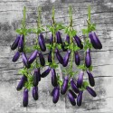 Artificial Eggplant Strand 1pc