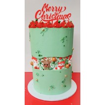 Christmas Fault Line Cake Class