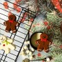 BWB Gingerbread Man Mould 3pc