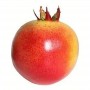 Artificial Fruit - Pomegranate 1pc