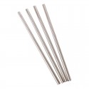 Appetito Stainless Steel Straight Smoothie Straw