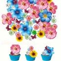 Edible Wafer Assorted Flowers 54pc
