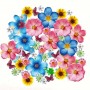 Edible Wafer Asstd Flowers 54pc