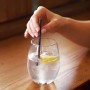 BioPak 4.5mm Cocktail Black BioStraw
