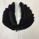 Cake Topper Feather Wings Black 1pc