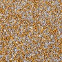 Sprinks Gold Rush Glitz Sprinkles 80g