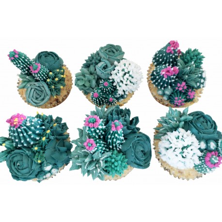 Succulent Cupcakes Decorating Class