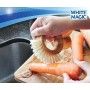 WM Eco Basics Vegetable Brush White magic,Cooks Plus