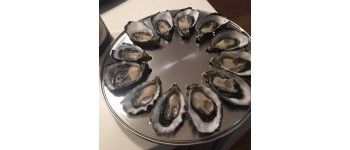 Oysters  & Mussels