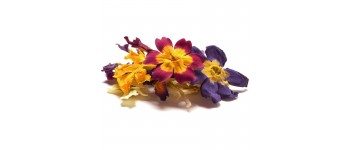 Dried Edible Flowers