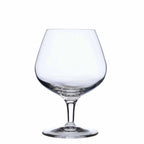 michaelangelo-masterpiece-cognac-glasses-set-of-4
