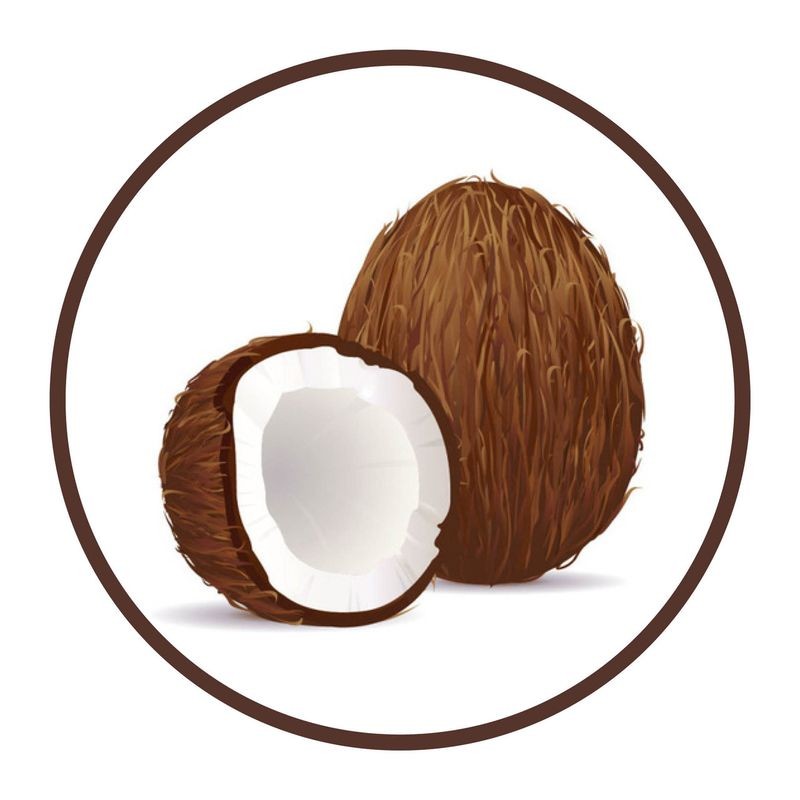 roberts-flavoured-oil-coconut-30ml