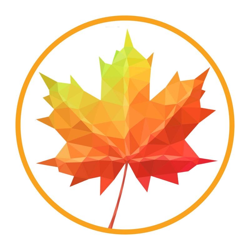 roberts-natural-flavoured-essence-maple-30ml