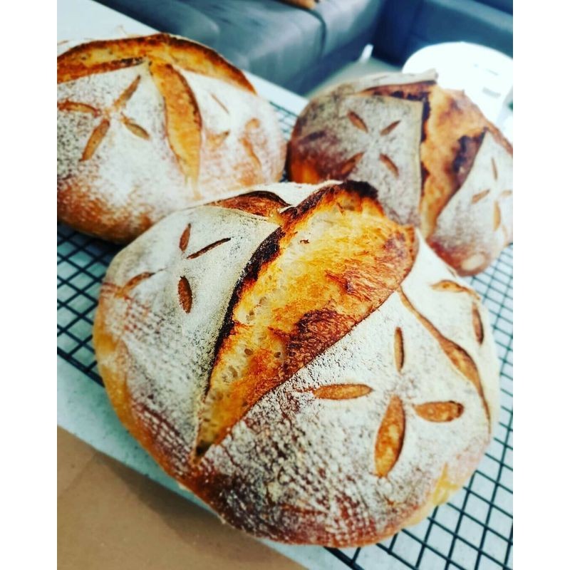 noosa-sourdough-co-tradition-starter-15g