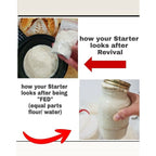 noosa-sourdough-co-tradition-starter-15g
