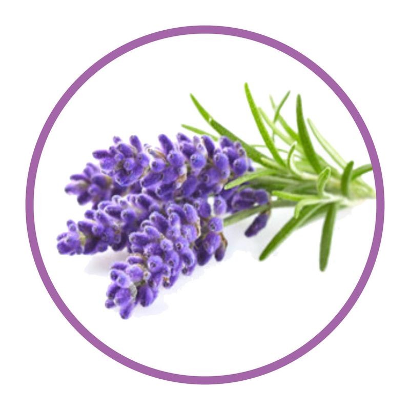 roberts-natural-flavoured-essence-lavender-30ml