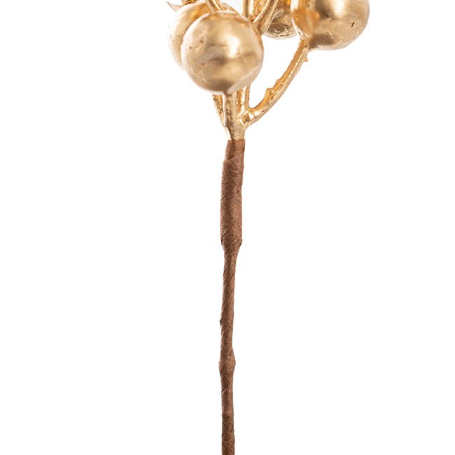 koch-christmas-berry-pick-pack-gold-6pc-20cm