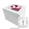 Cake Craft Window Top Cake Box 10x10x10 inch