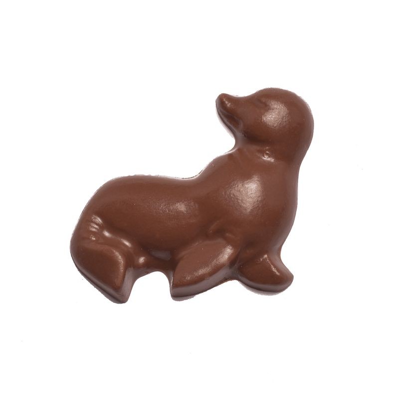 roberts-chocolate-mould-summer-beach-theme
