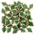 Artificial Holly Gold Berry 5pc